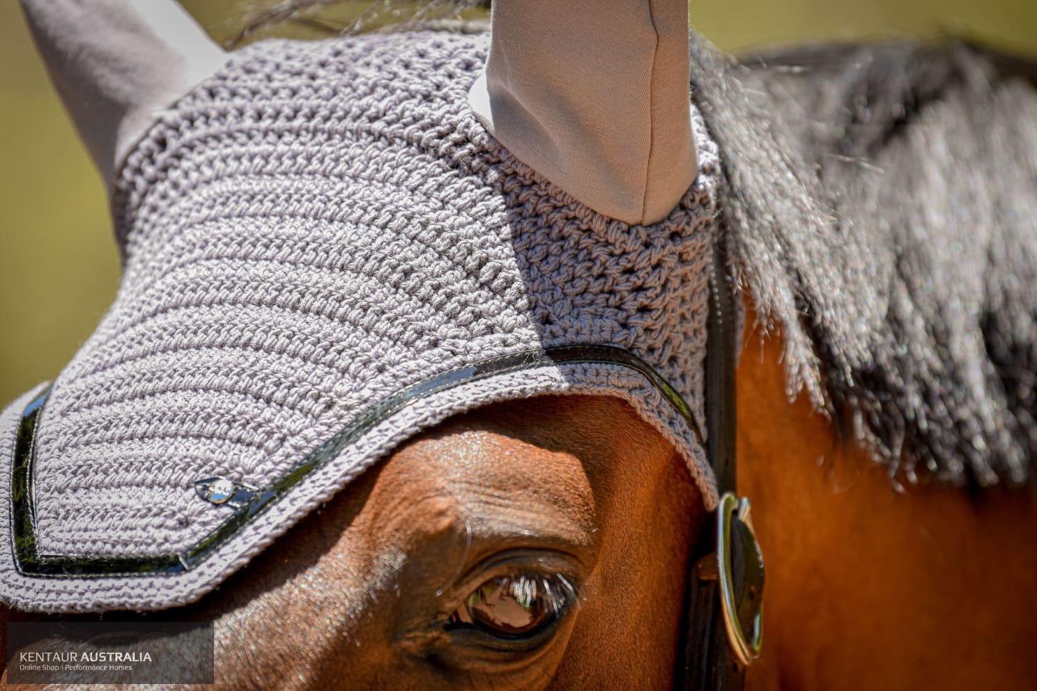 Silver Crown Ear Net Grey with Navy Piping Ears