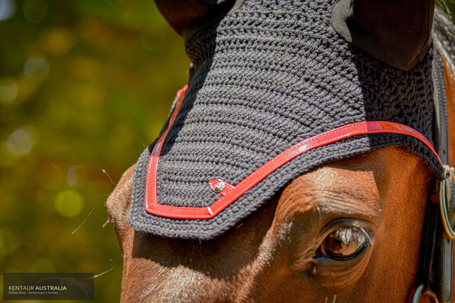 Silver Crown Ear Net Ears