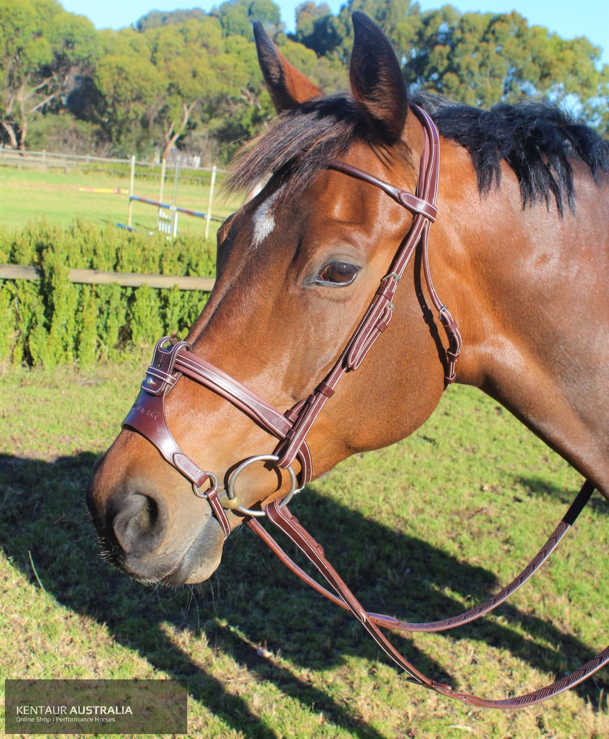 Silver Crown Flash + X Nose Noseband Bridles