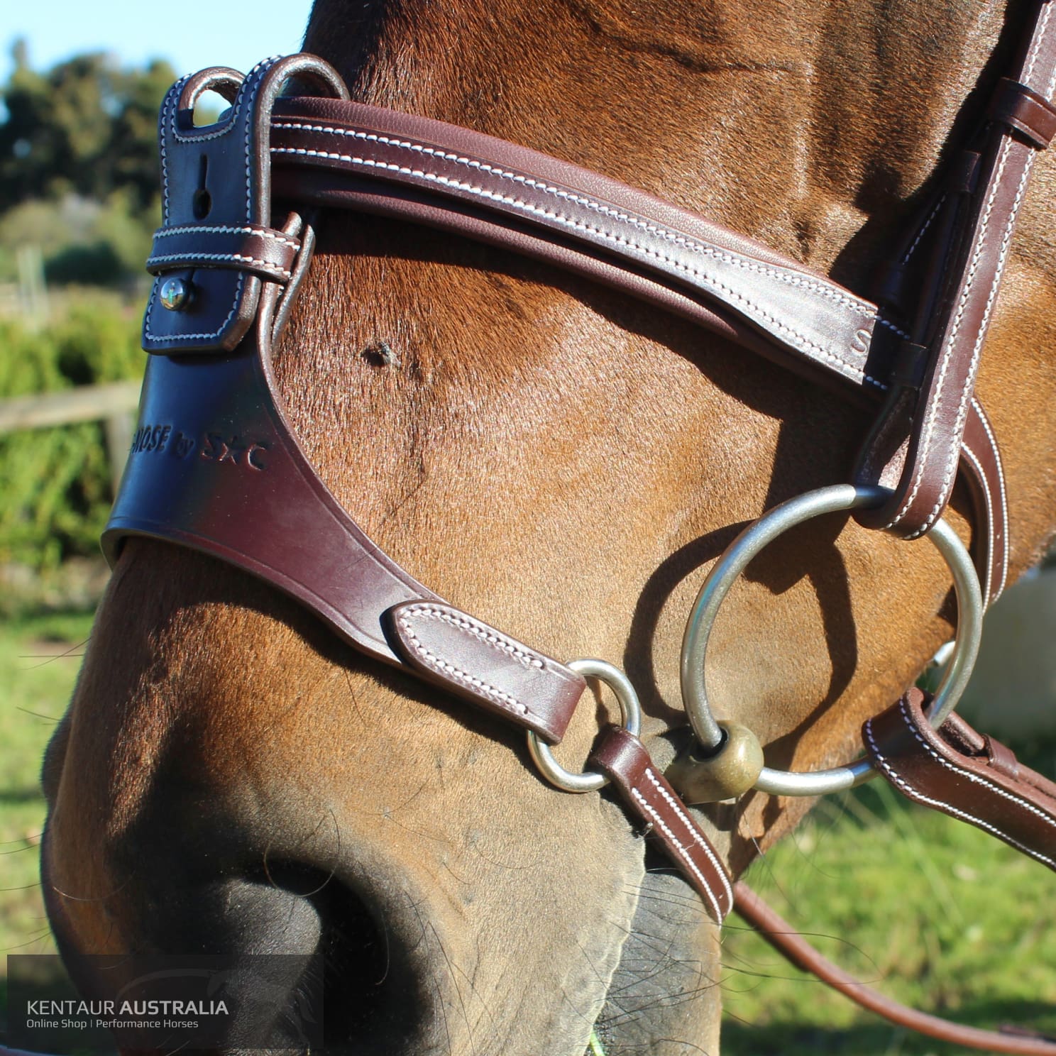 Silver Crown Flash + X Nose Noseband Bridles