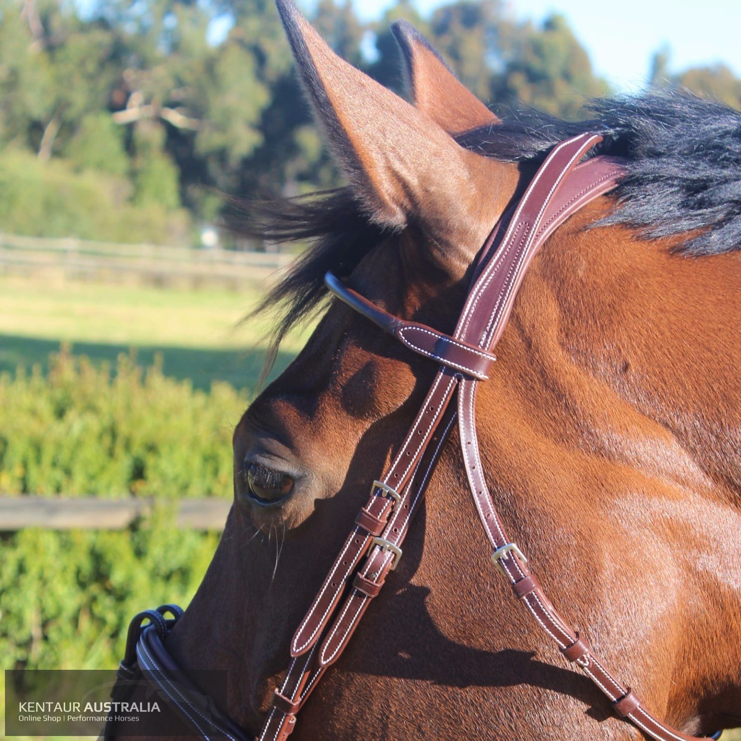 Silver Crown La Baulle Ii Headpiece Bridles