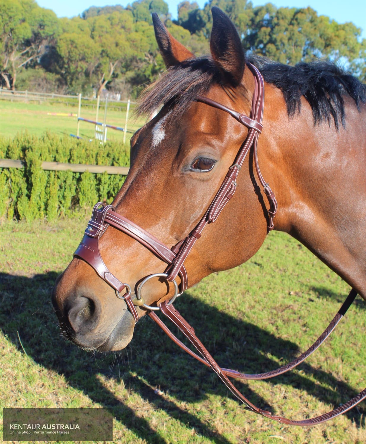 Silver Crown La Baulle Ii Headpiece Bridles