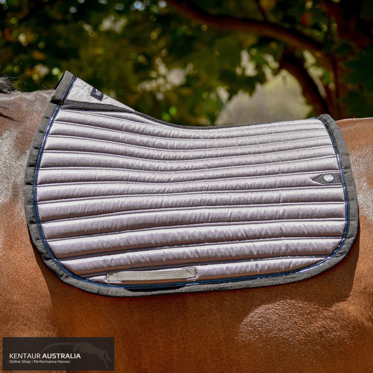 Silver Crown Saddle Pad Saddle Pad