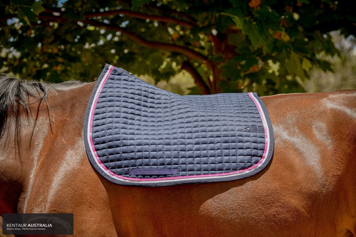 Silver Crown Saddle Pad Saddle Pad