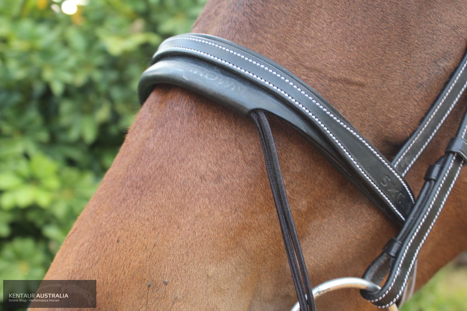 Silver Crown Valla Noseband Bridles