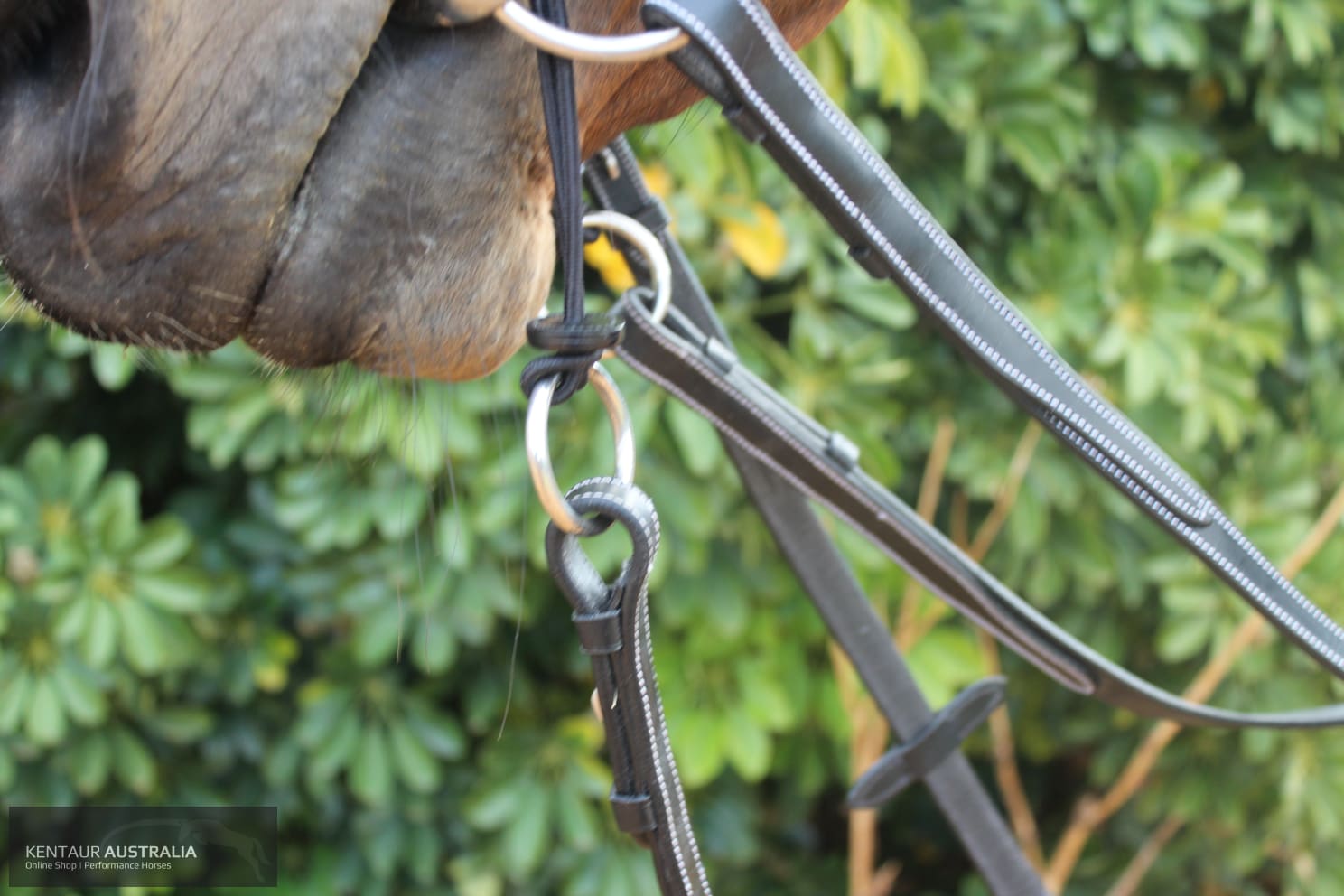 Silver Crown Valla Noseband Bridles