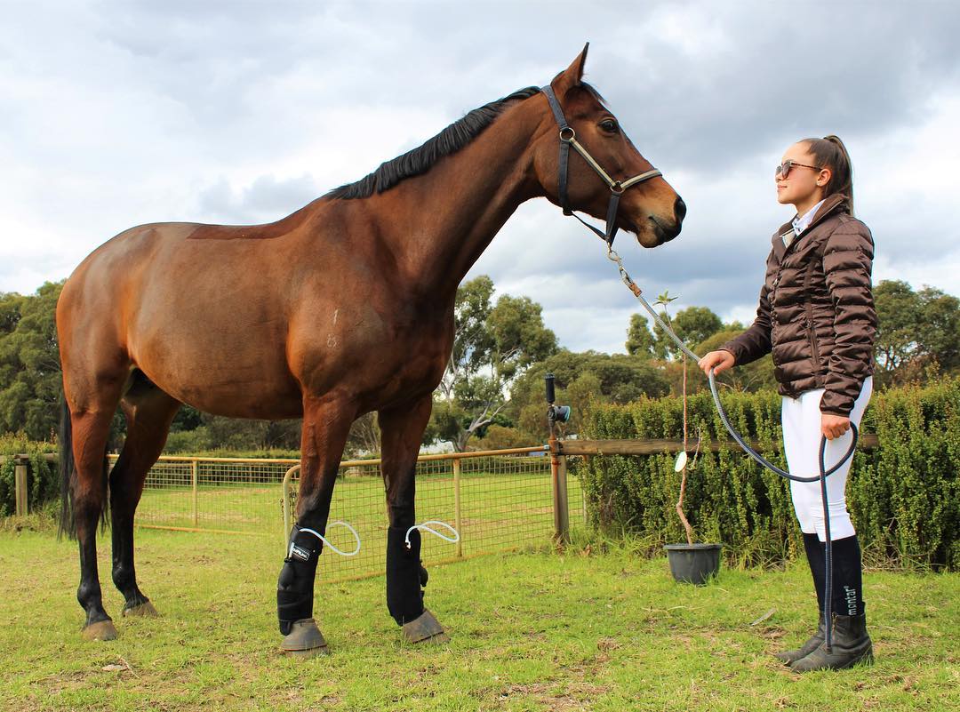 Why you will LOVE our two new equestrian brands…