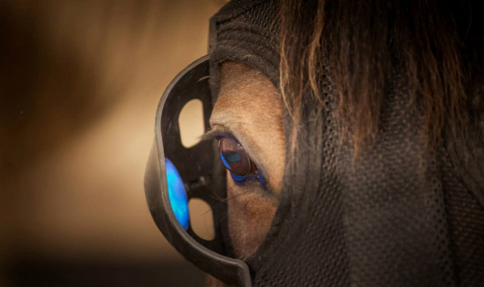 Cashel Light Mask | Health. Performance. Well-Being