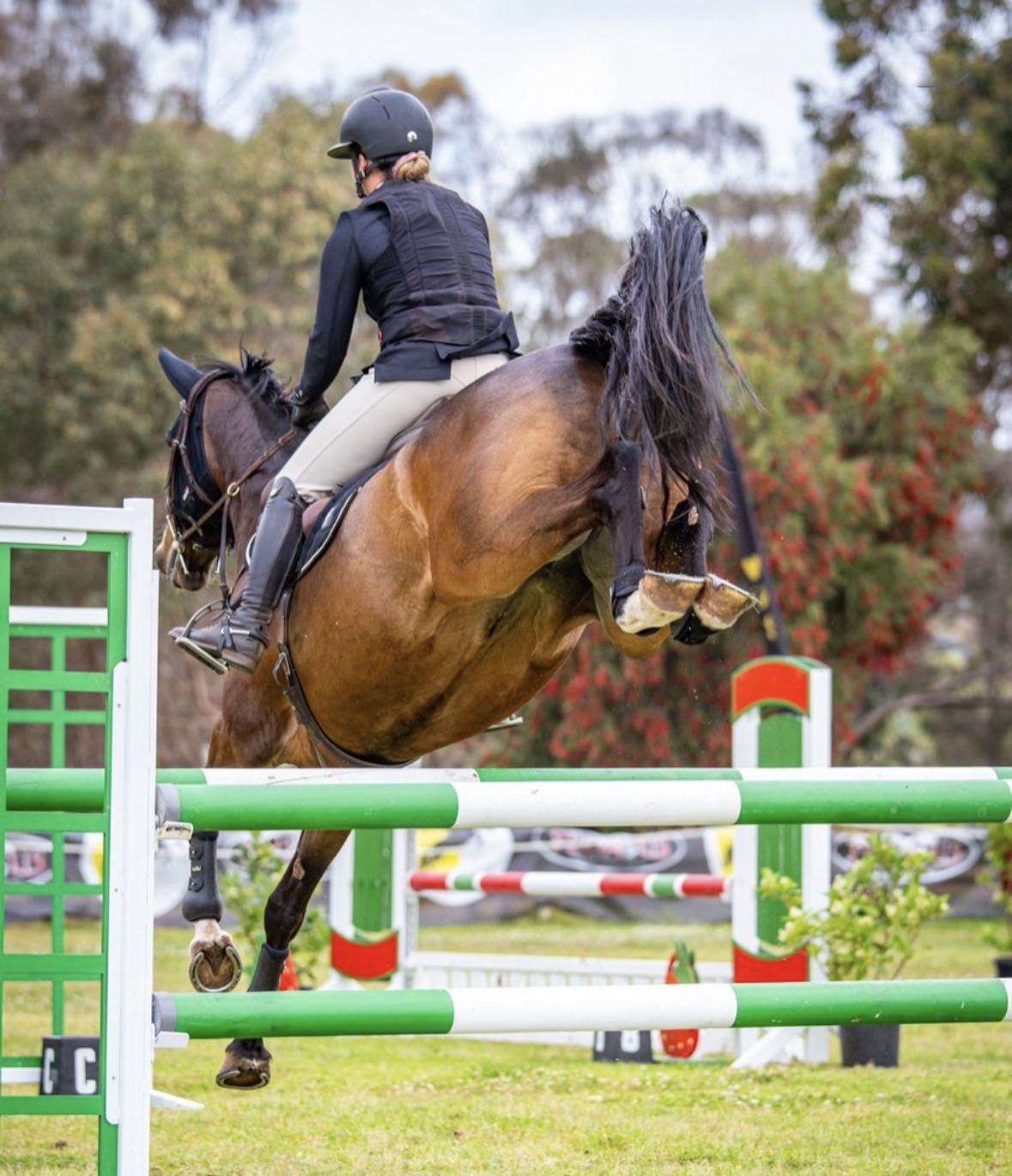 Young Horse Class Boot Rules