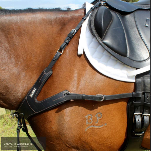 Choosing the right breastplate for your horse