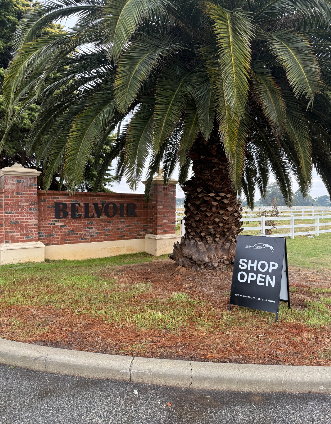 A New Chapter: Kentaur Australia Moves to Belvoir