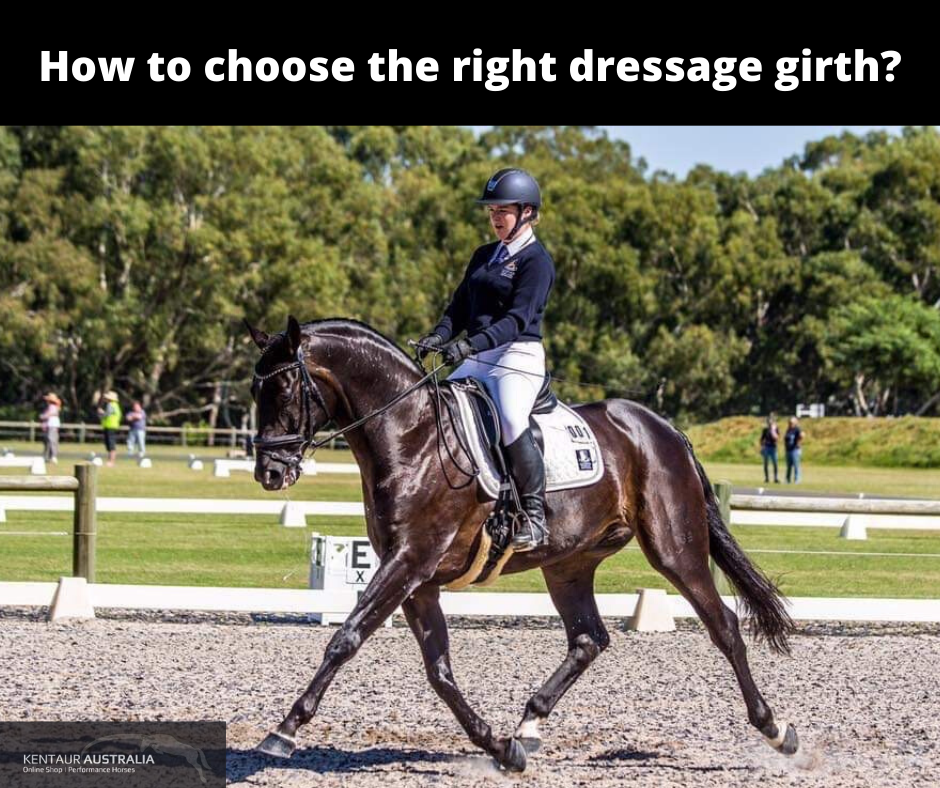 Choosing the right dressage girth for your horse's shape