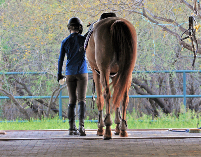 Equestrian Sports: Breaking the ‘Elitist’ Stigma