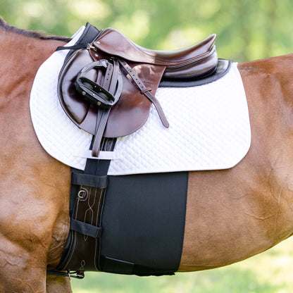 Equifit Belly Band