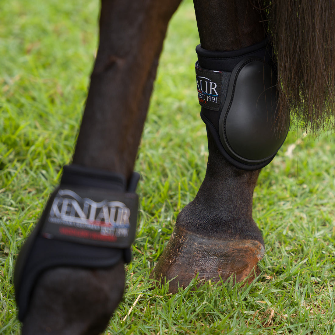 Kentaur ‘Pro Carbon’ Fetlock Boots