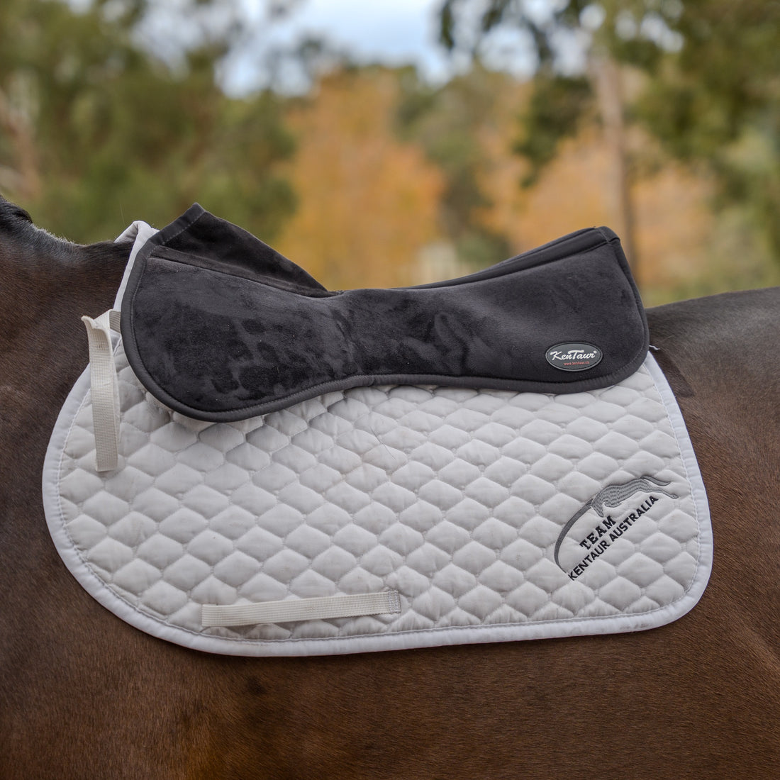 Kentaur Memory Foam Half Pad With Wither Cut Out