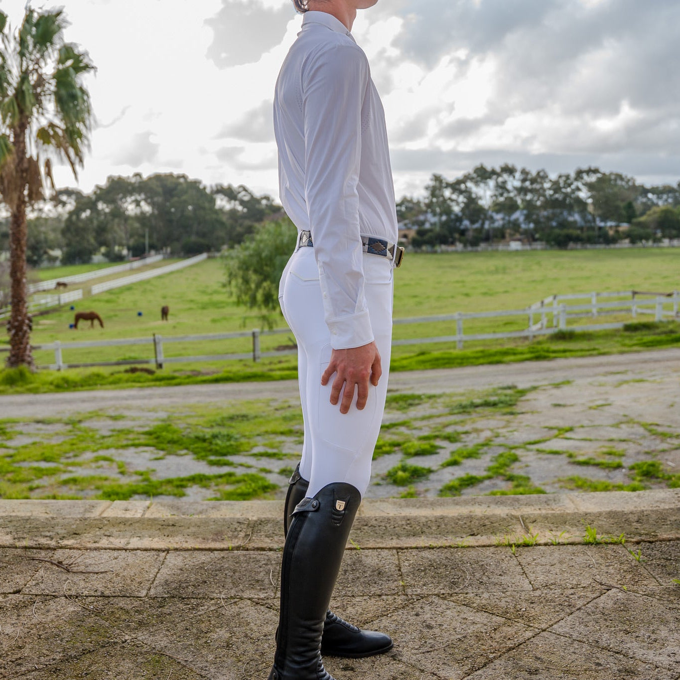 Horse Pilot &