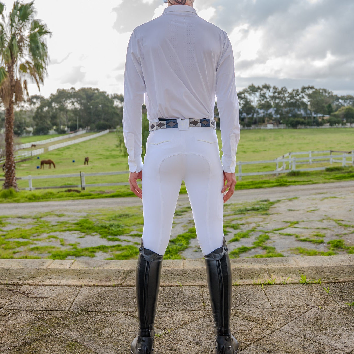 Horse Pilot &