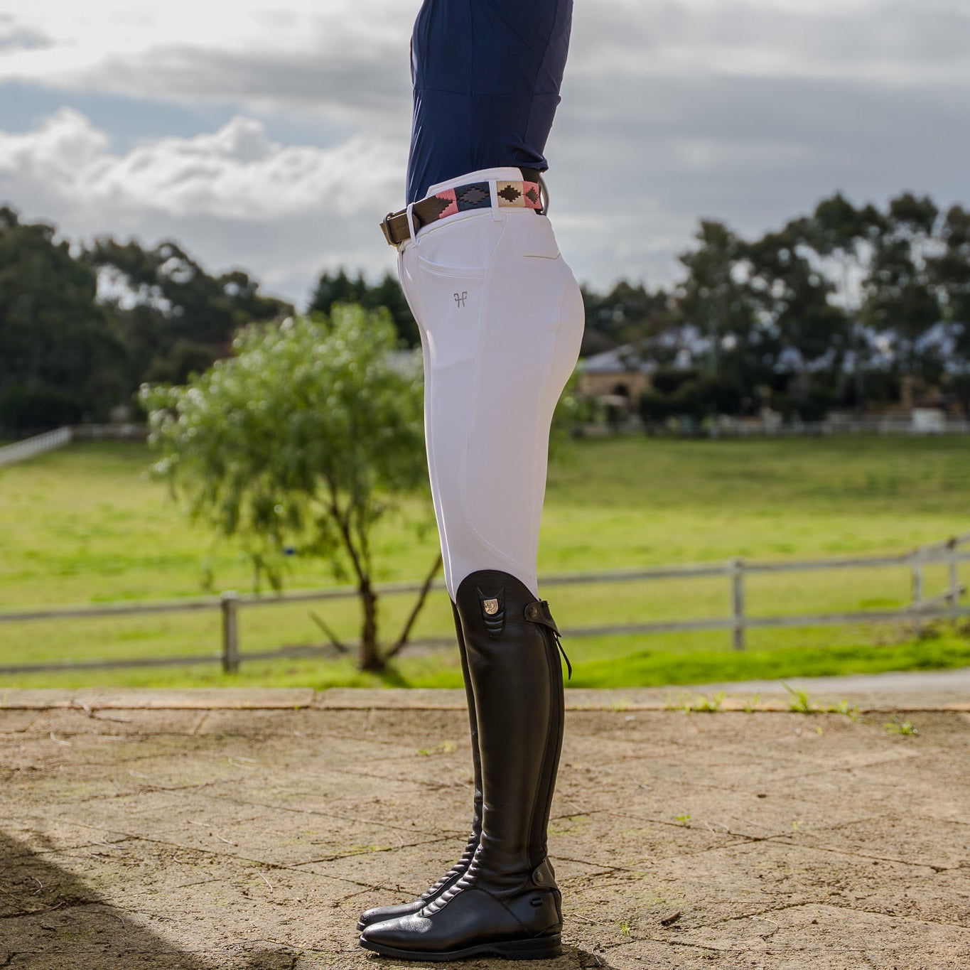 Horse Pilot &