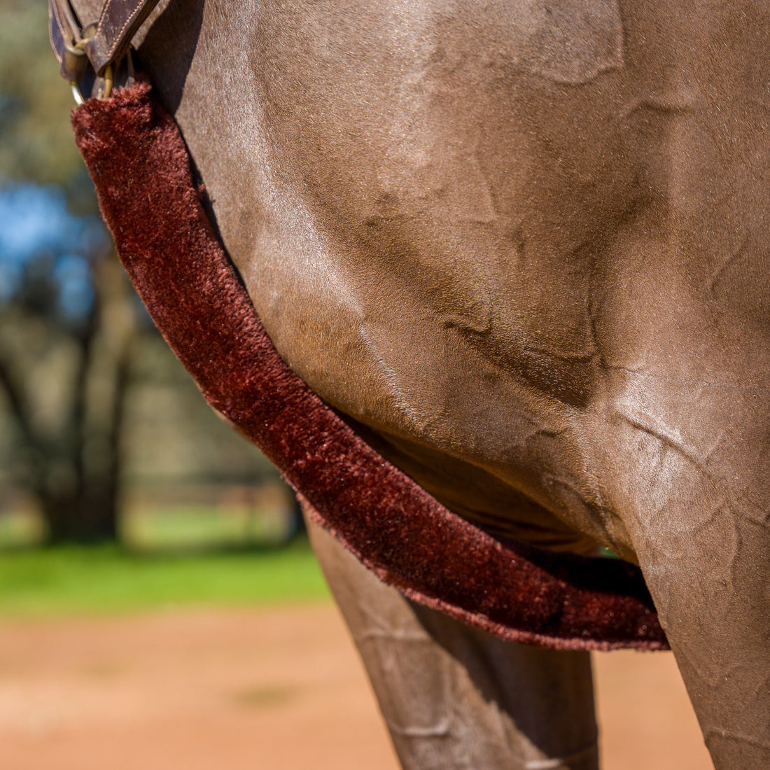 Kentaur Sheepskin breastplate covers