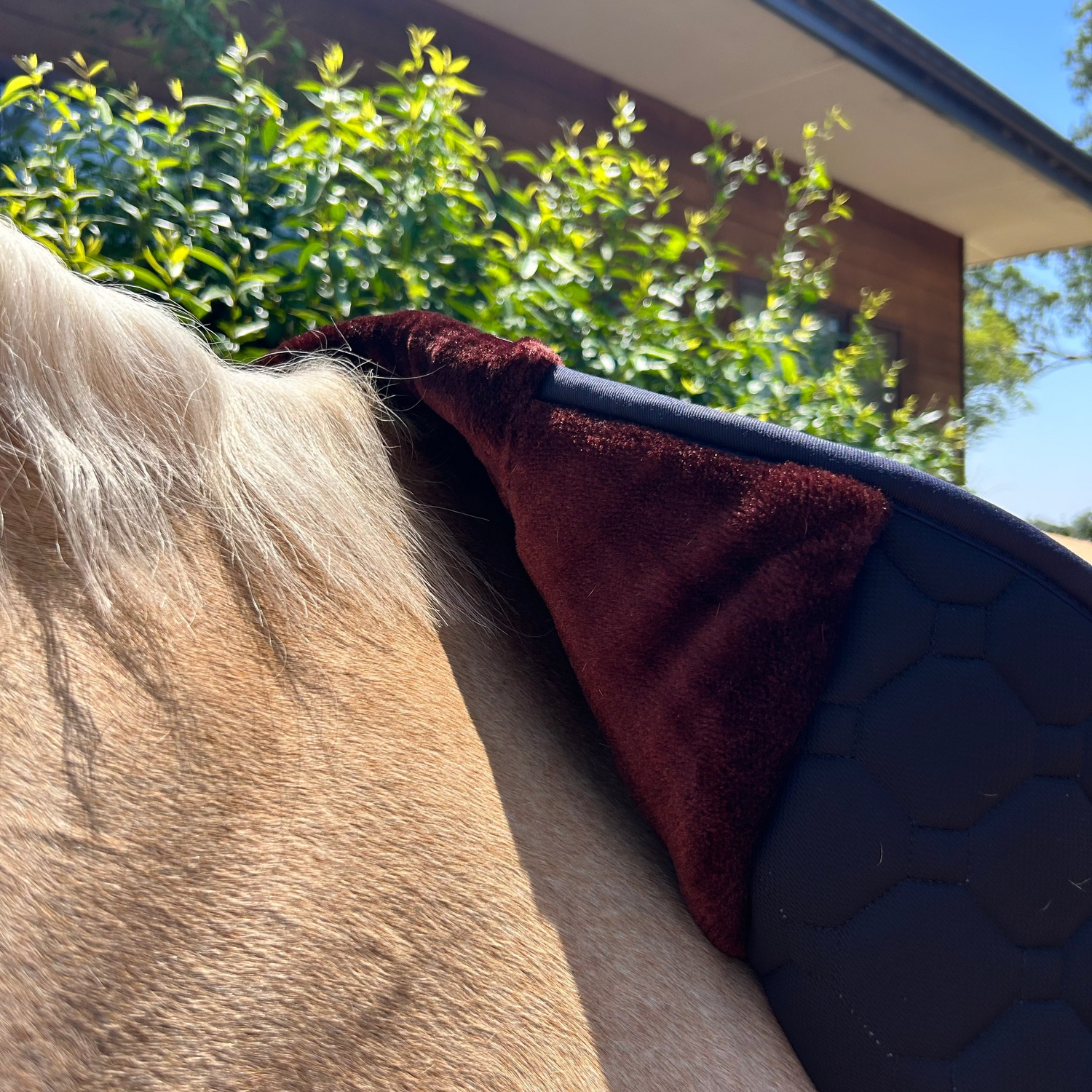 Kentaur Sheepskin Lined Saddle Pad