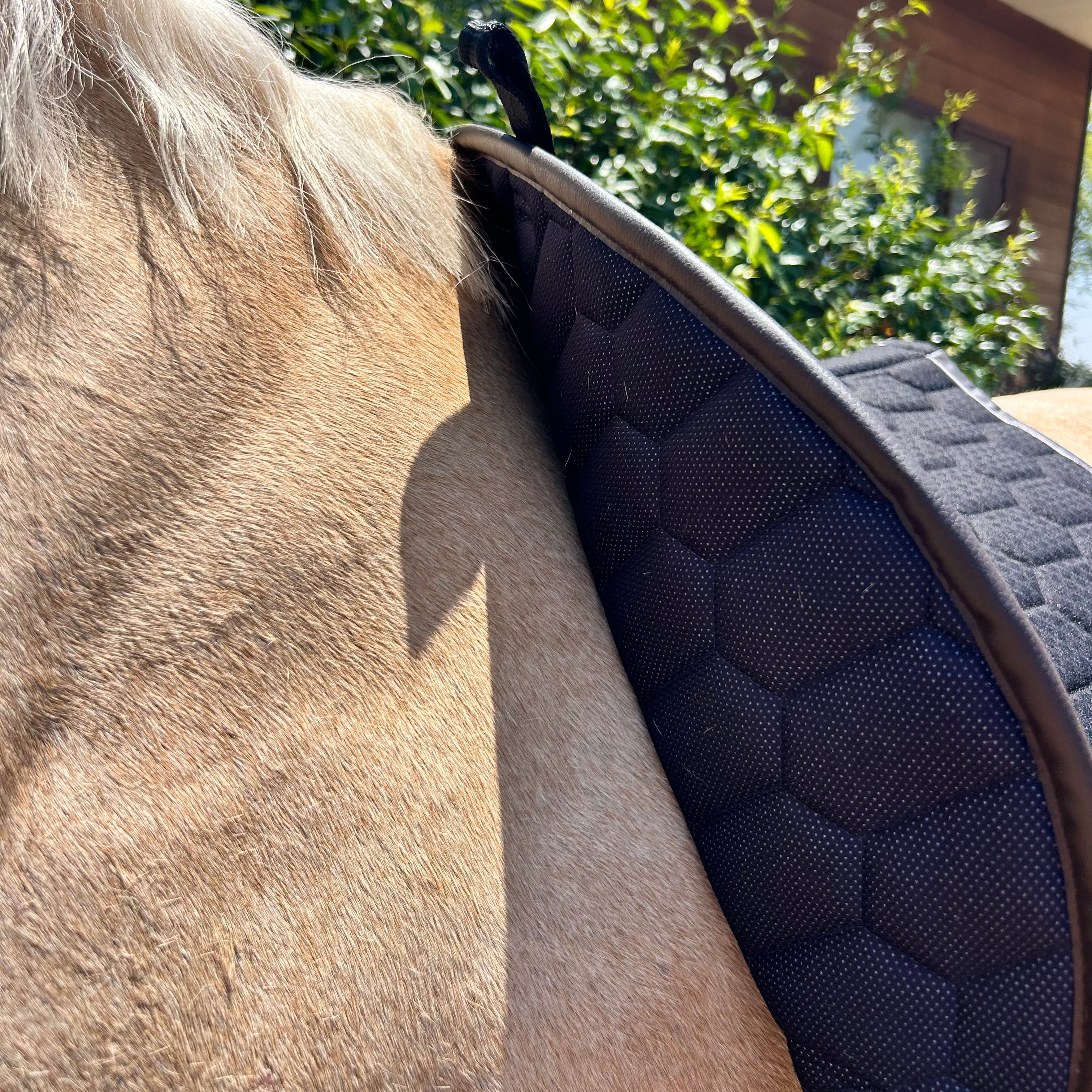 Kentaur Saddle Pad &amp; Bonnet Set