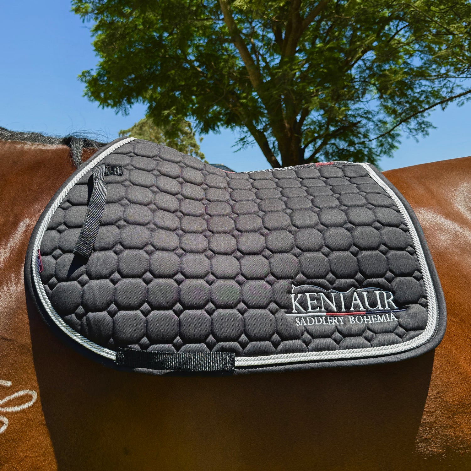 Kentaur Saddle Pad &amp; Bonnet Set