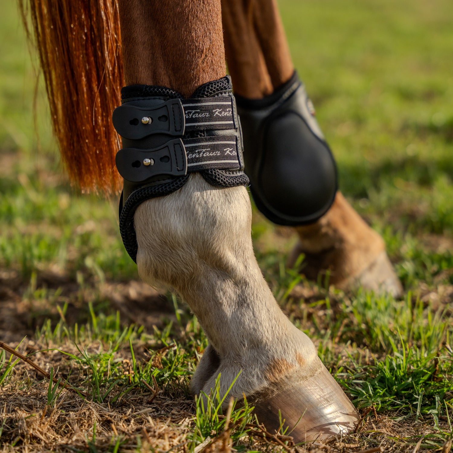 Kentaur ‘Mega Jump Air’ Hind Boots