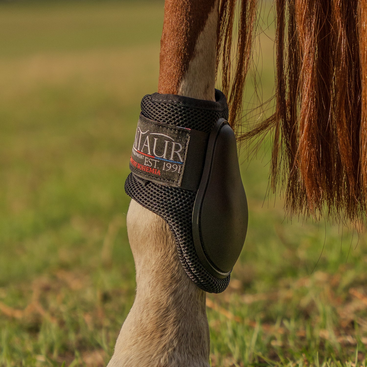 Kentaur ‘Profi Air’ Hind Jumping Boots