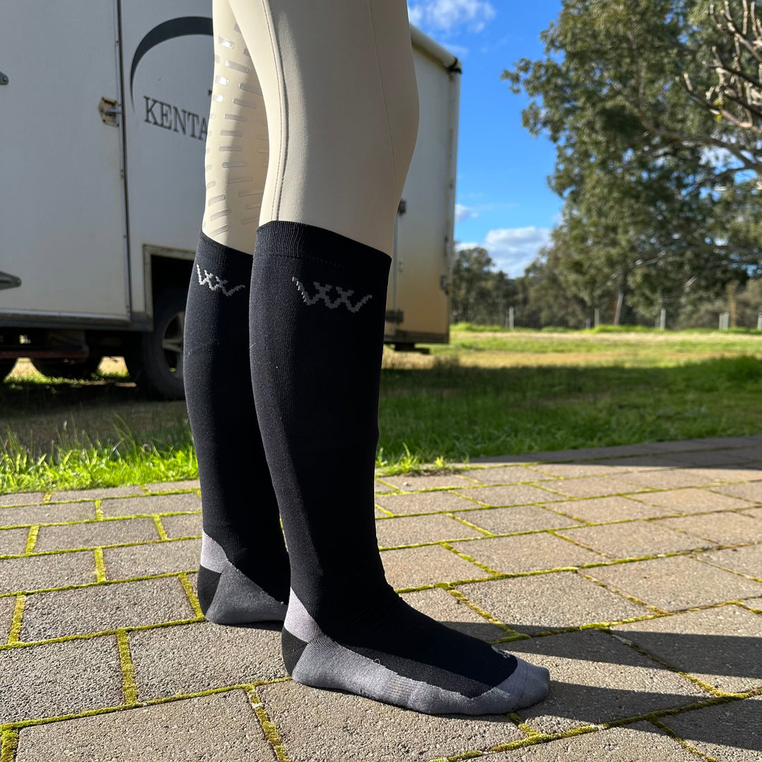 Woof Wear Competition Socks