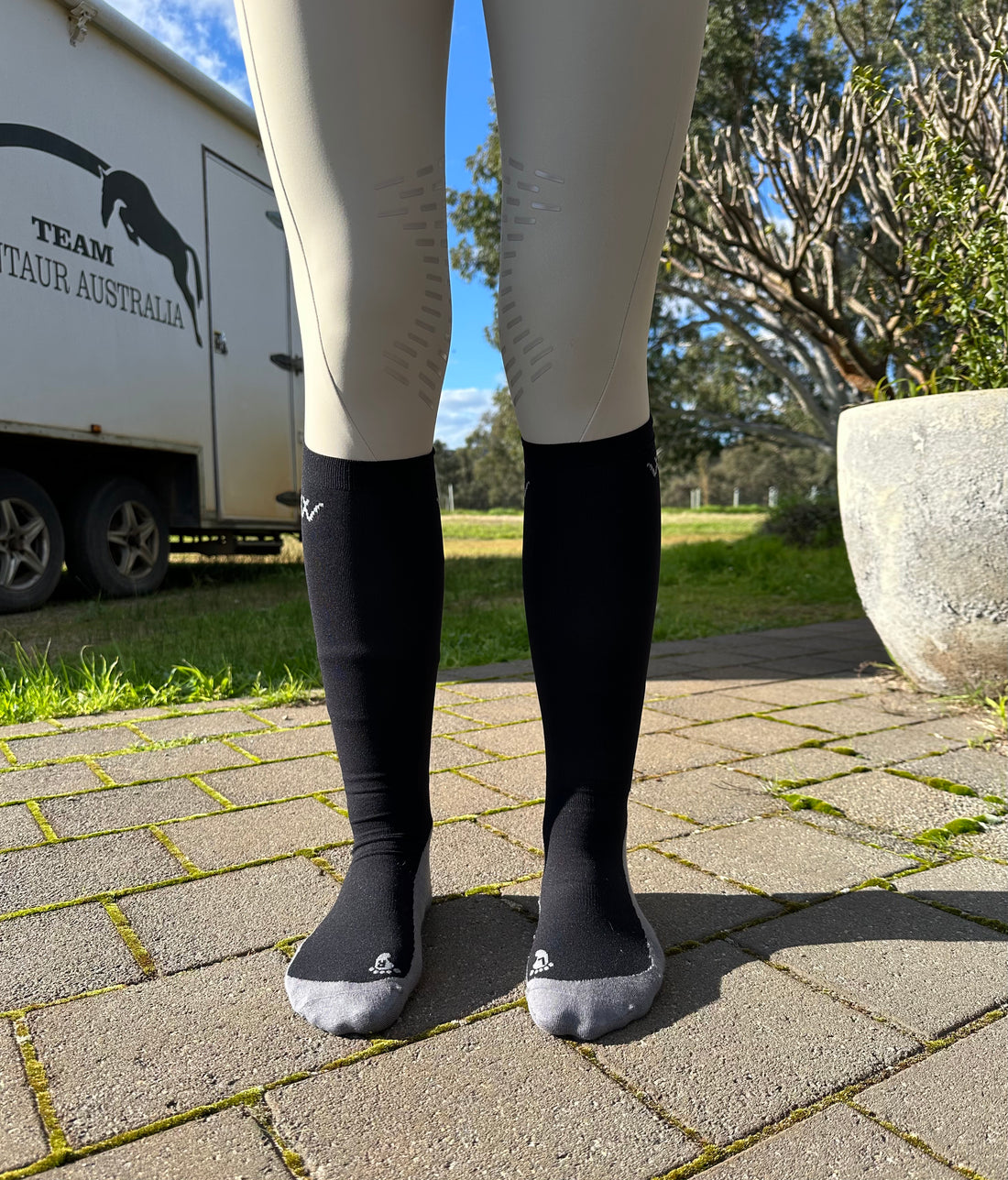 Woof Wear Competition Socks