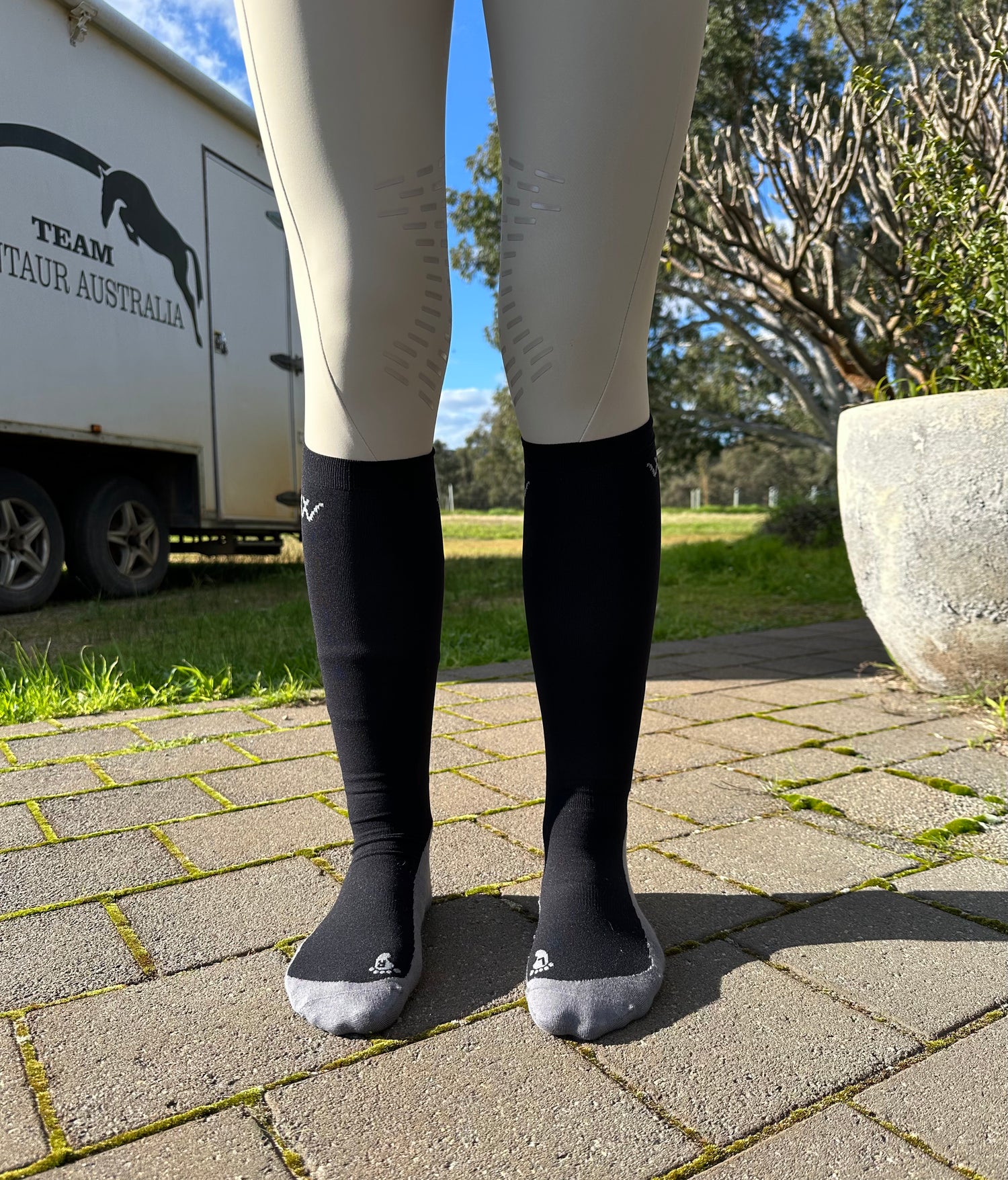 Woof Wear Competition Socks