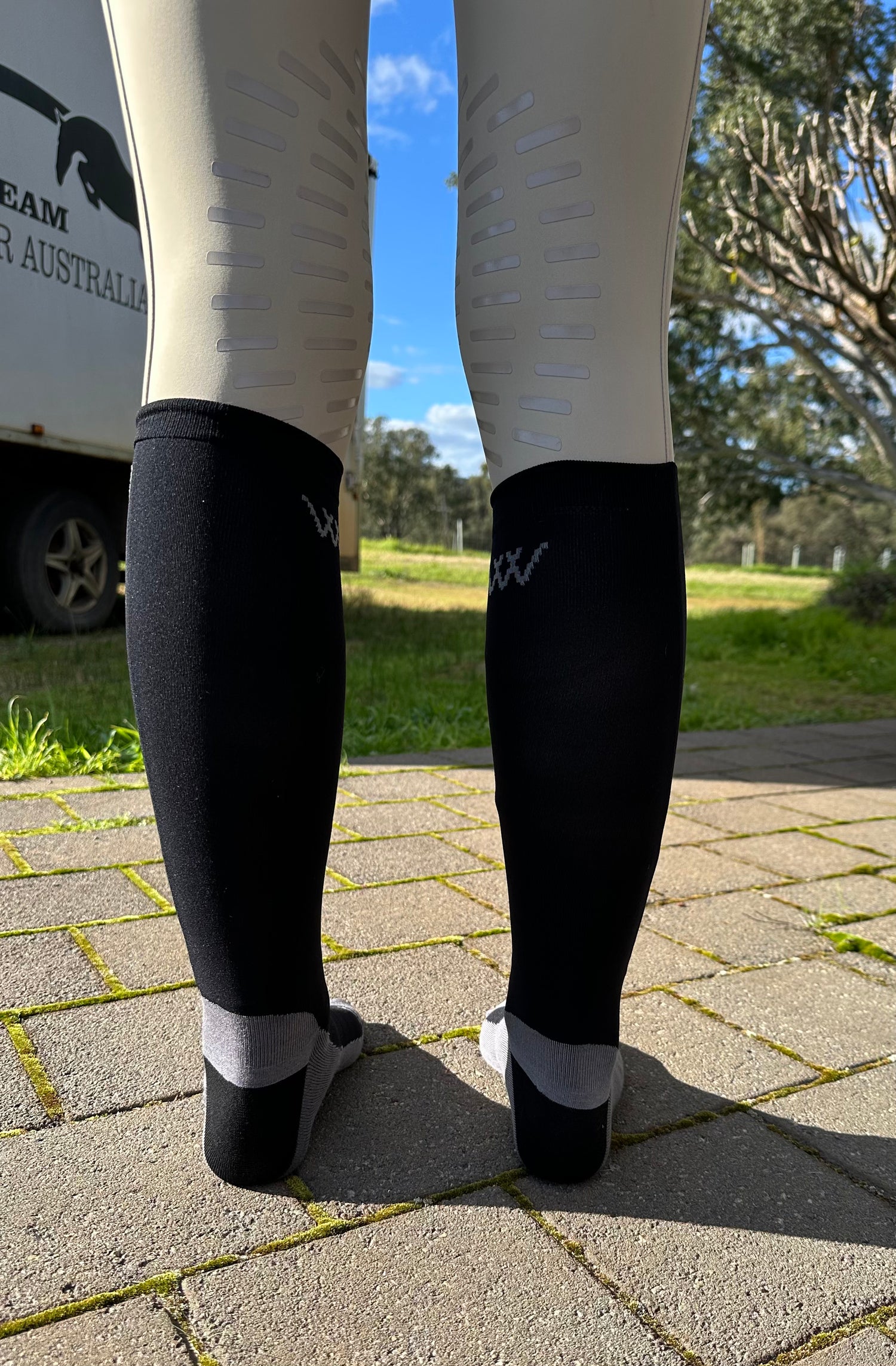 Woof Wear Competition Socks