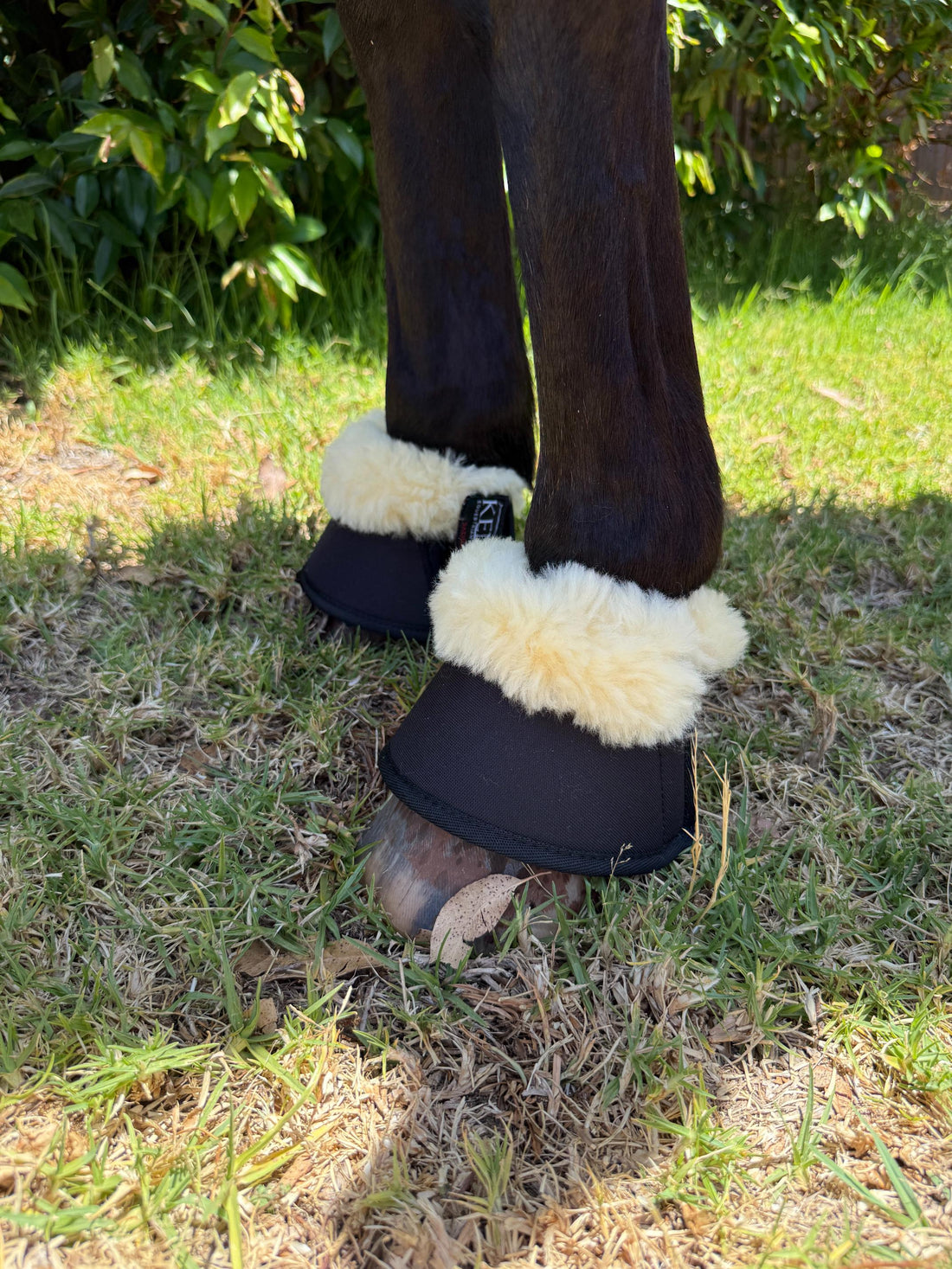Kentaur Neoprene Bell Boots With Genuine Sheepskin