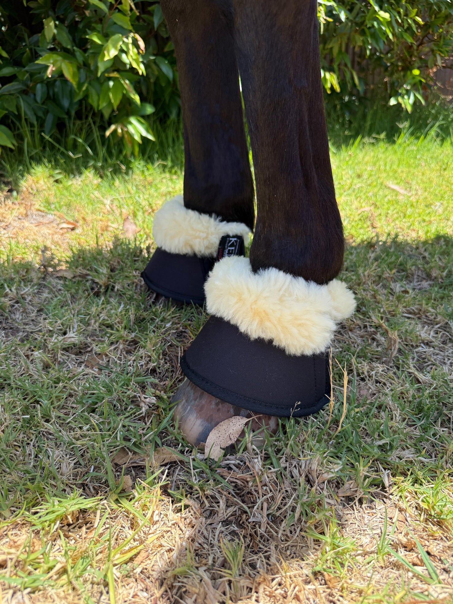 Kentaur Neoprene Bell Boots With Genuine Sheepskin
