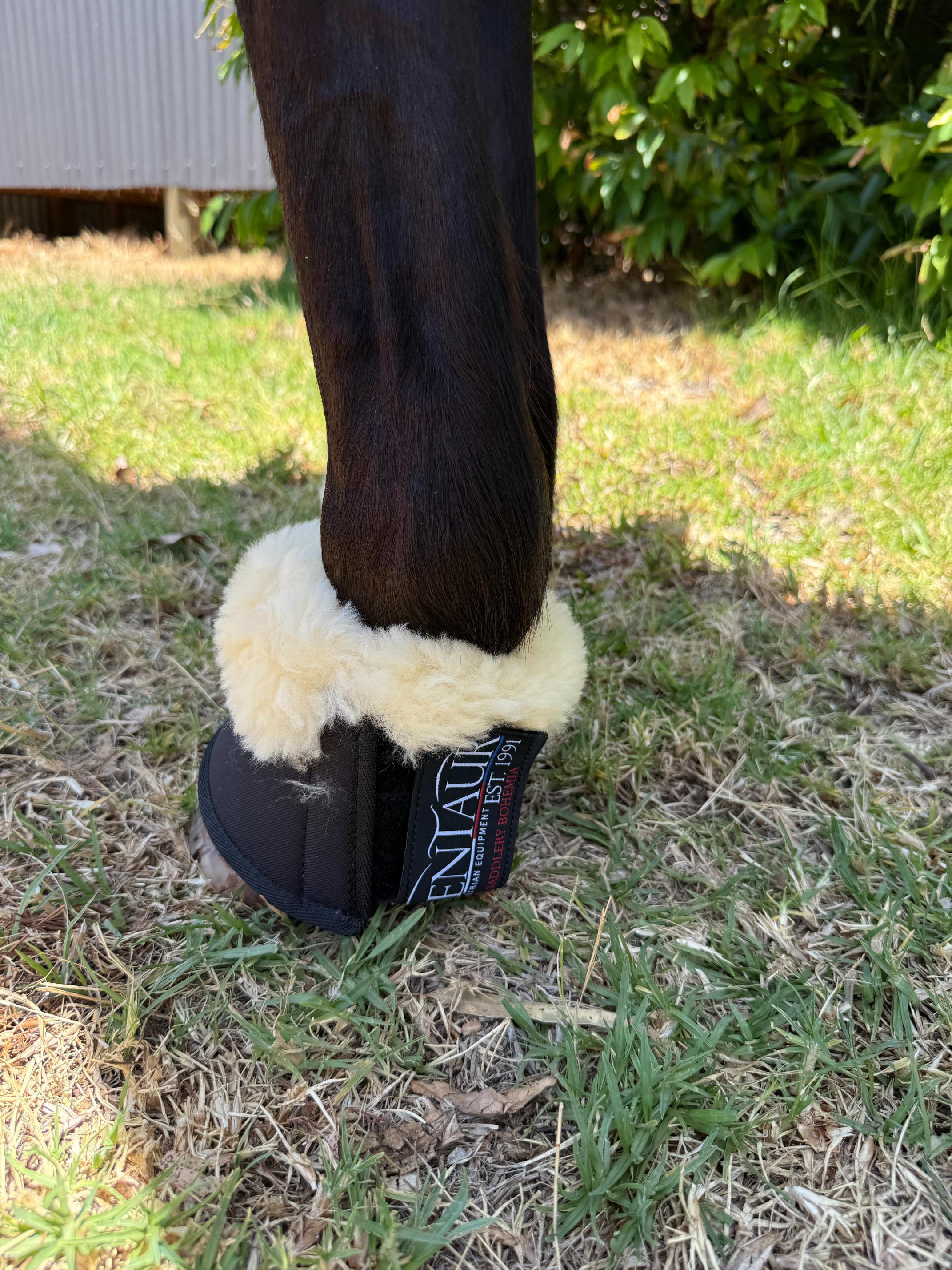 Kentaur Neoprene Bell Boots With Genuine Sheepskin