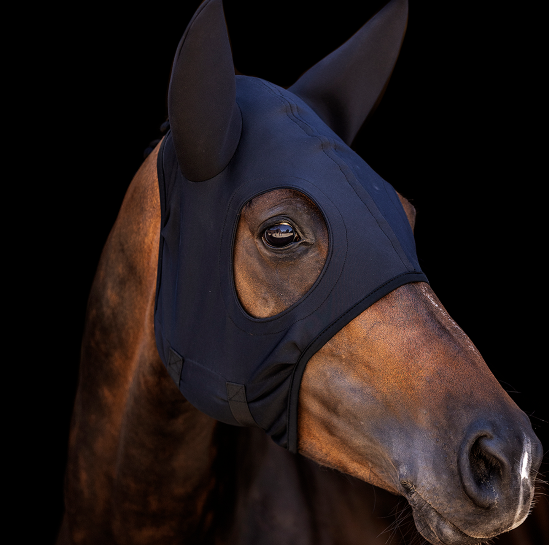 Lami - Cell Titanium Hood With Ears