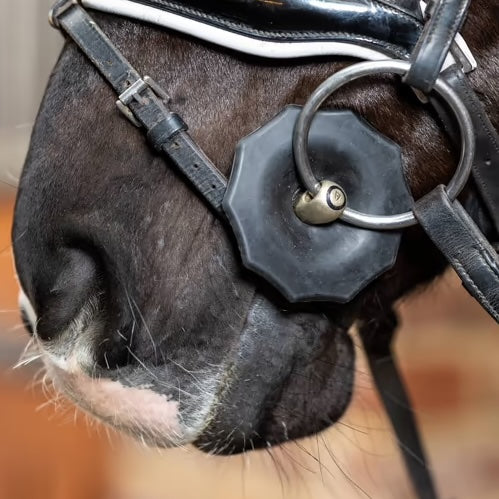 Acavallo Gel Bit Guard