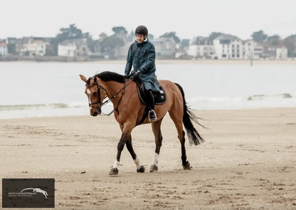 Horse Pilot ’Raintech’ Mens Jacket - Jumpers and Jackets