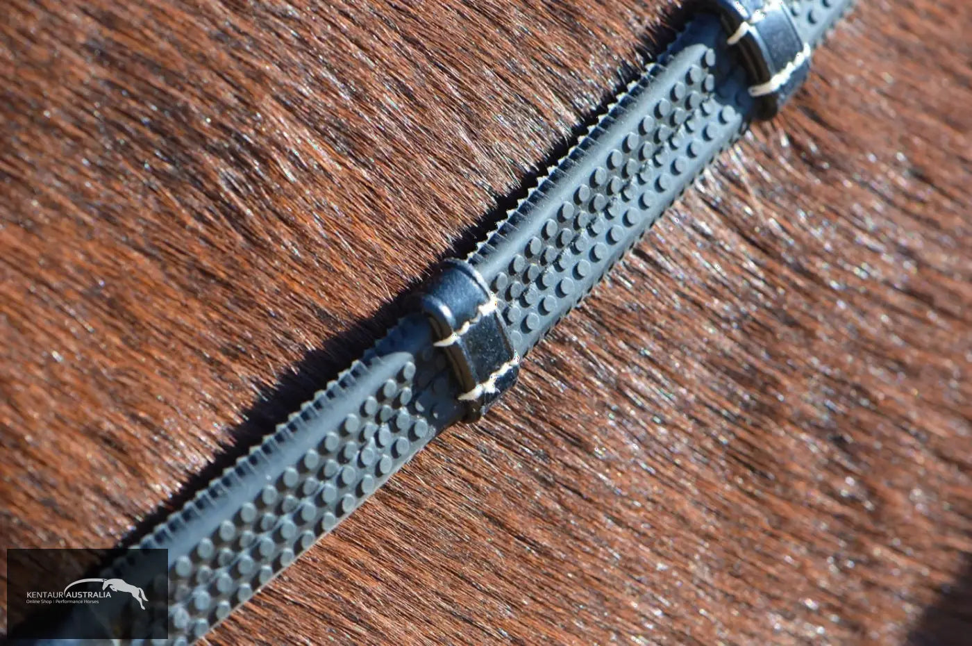 John Whitaker 9 Loop Reins Bridles