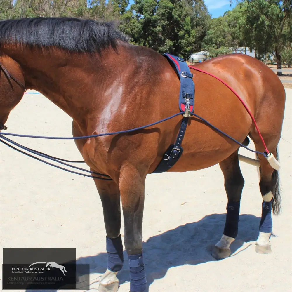 John Whitaker Training System Training Aids
