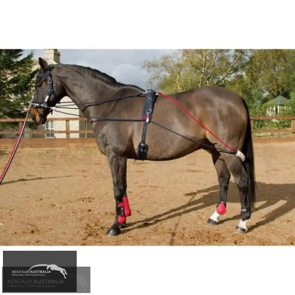 John Whitaker Training System Training Aids