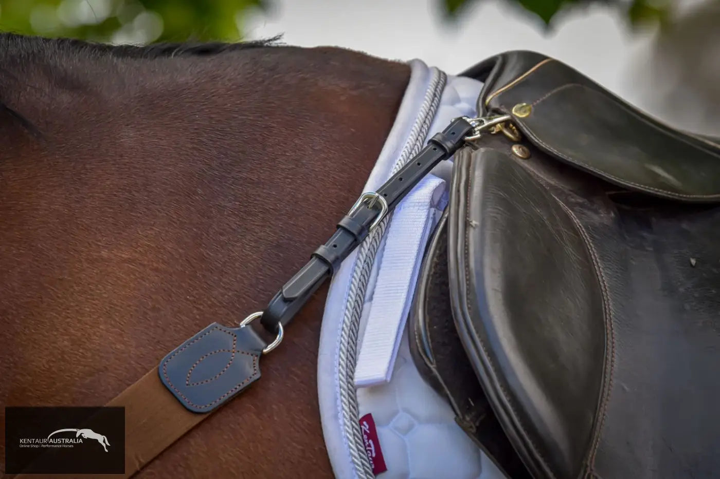 Kentaur ’Amsterdam’ Elastic Breastplate Breastplates