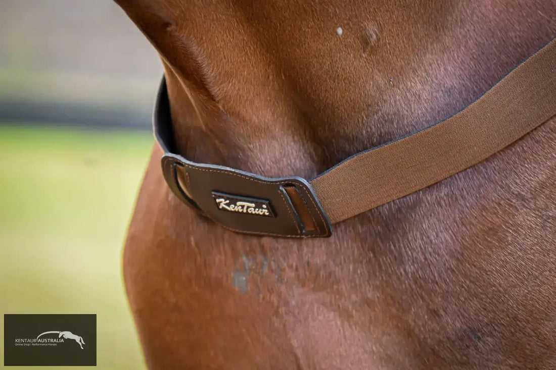 Kentaur ’Amsterdam’ Elastic Breastplate Breastplates