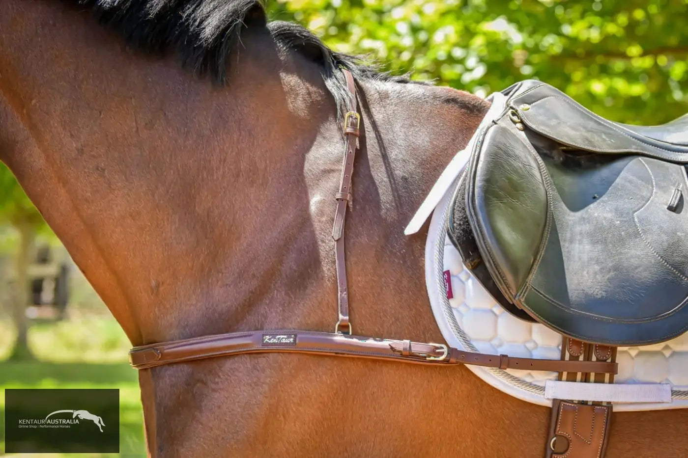 Kentaur ’Capri’ Breastplate Breastplates
