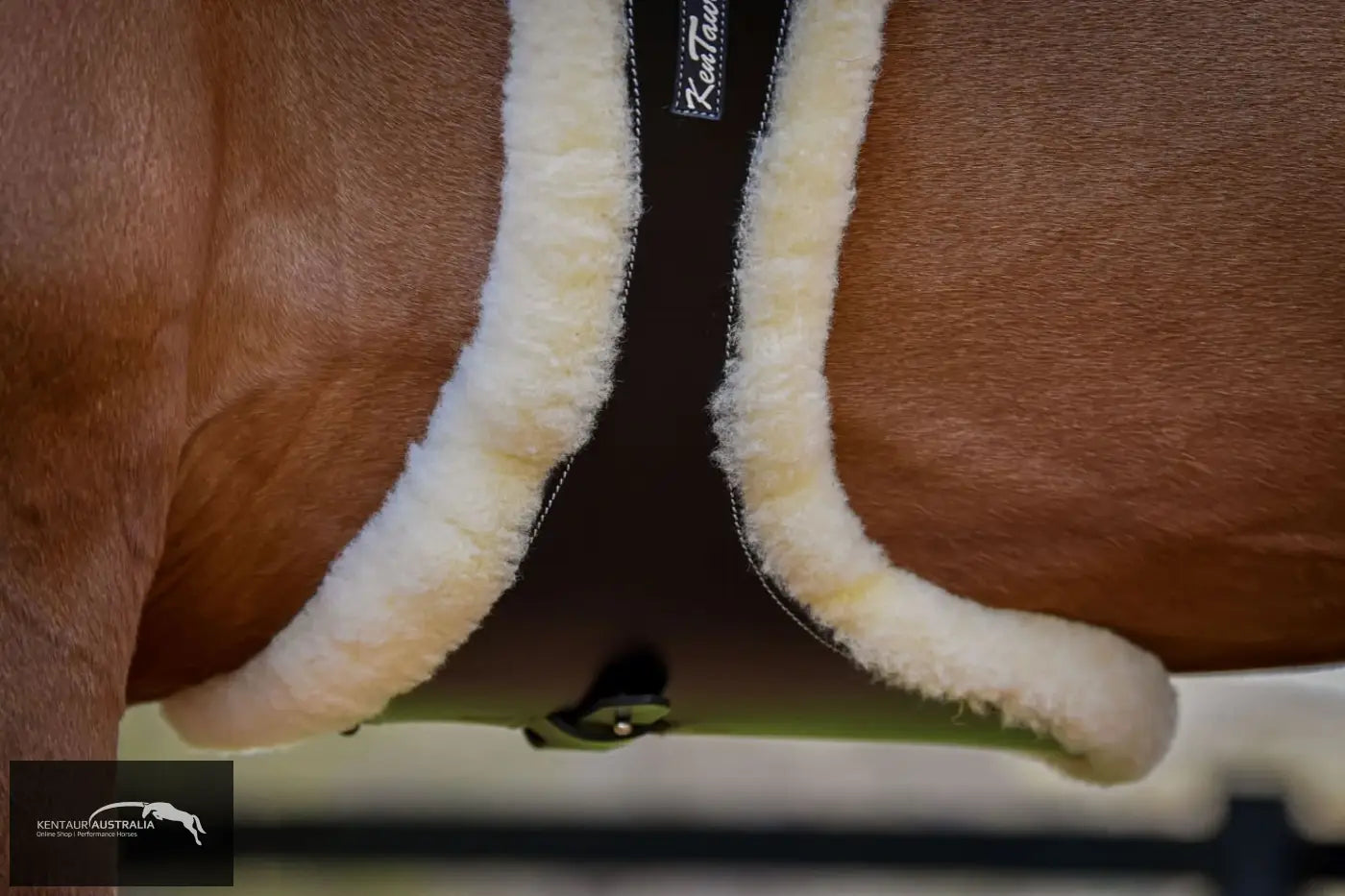 Kentaur ’Cassis’ Girth with Sheepskin jumping girths