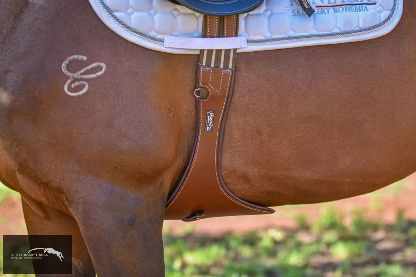 Kentaur ’Cassis Pony’ Stud Girth Tobacco / 110cm jumping girths
