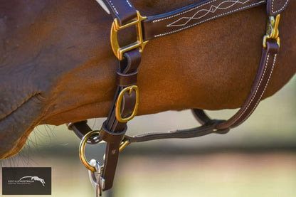 Kentaur ’Coloured’ Leather Halter Halters &amp; Flyveils