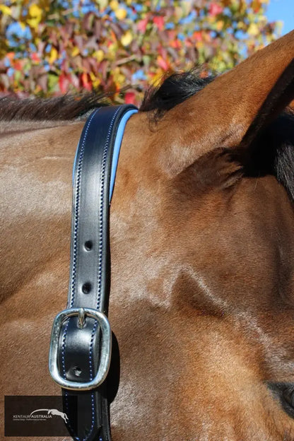 Kentaur ’Coloured’ Leather Halter Halters &amp; Flyveils