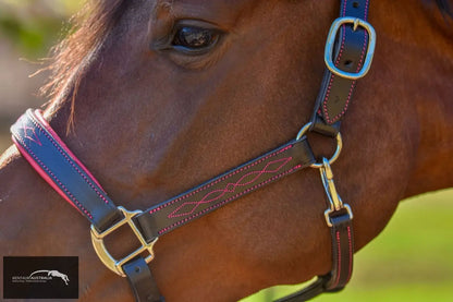 Kentaur ’Coloured’ Leather Halter Halters &amp; Flyveils